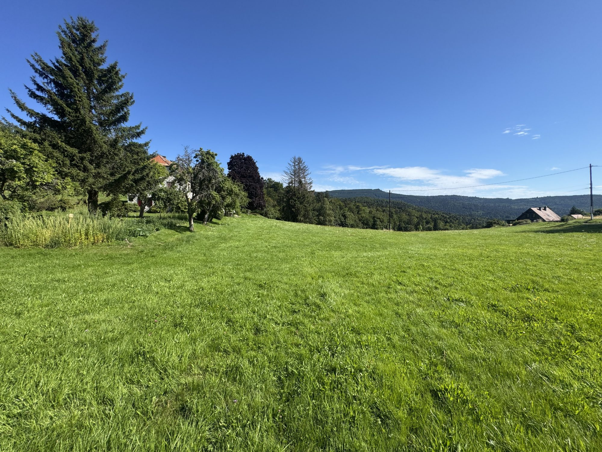 Terrain à vendre à Le hohwald, 877 m² – photo 3 sur 9