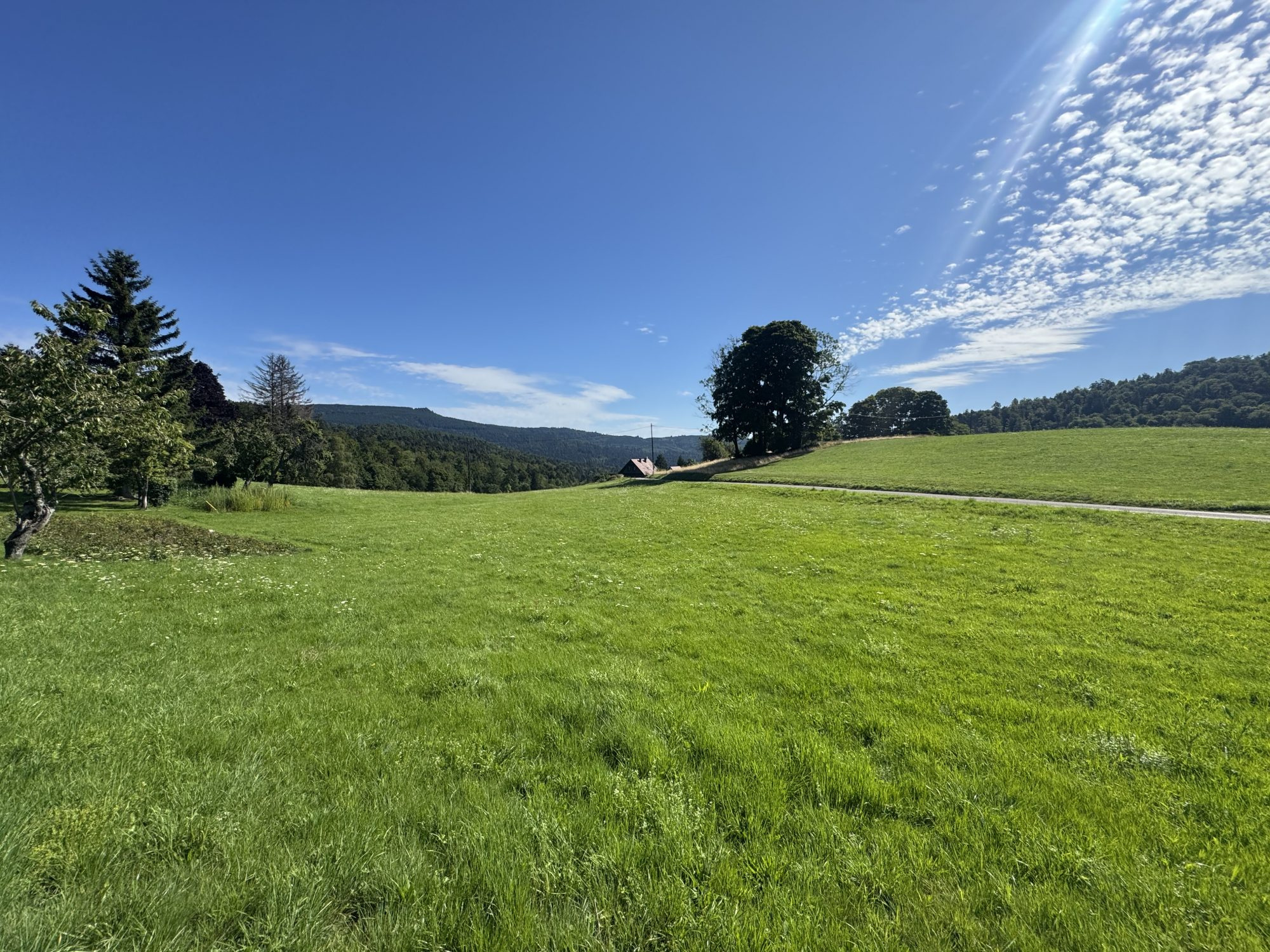 Terrain à vendre à Le hohwald, 877 m² – photo 2 sur 9